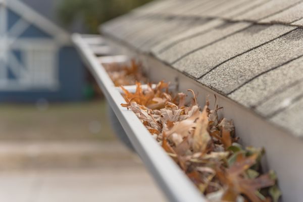 Leaf Barrier Installation in Monroe Township