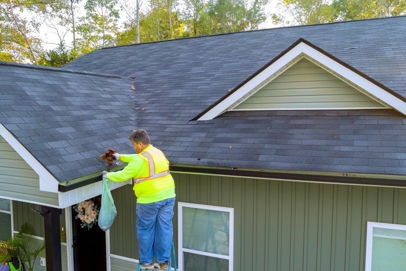 Local Gutter Service Experts